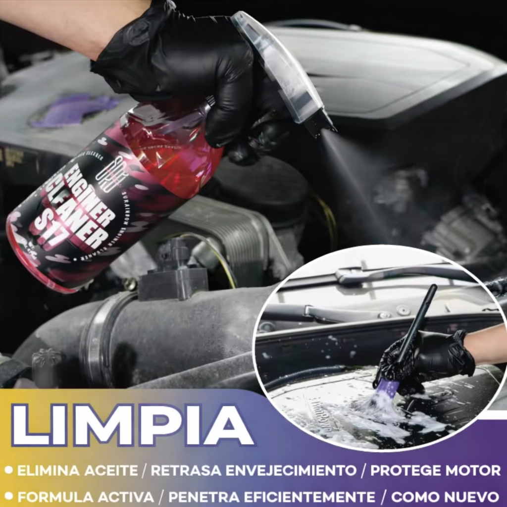 Limpieza Profunda de Motor