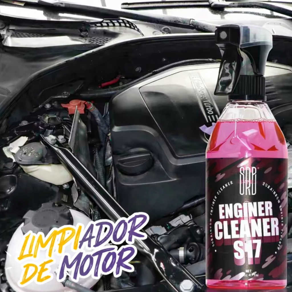 Limpieza Profunda de Motor